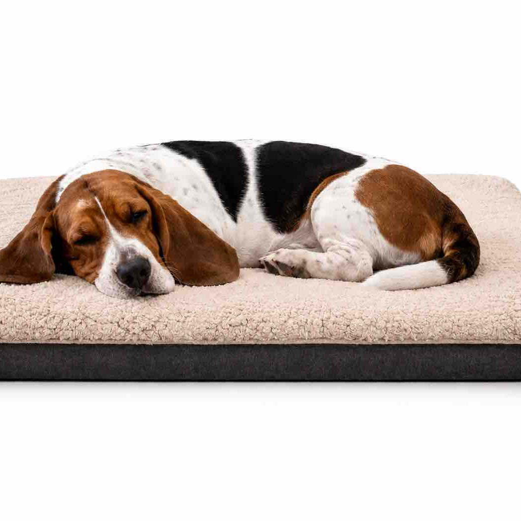 Genuine Medium Sheepskin Oyster Pet bed | 75 x 45 cms