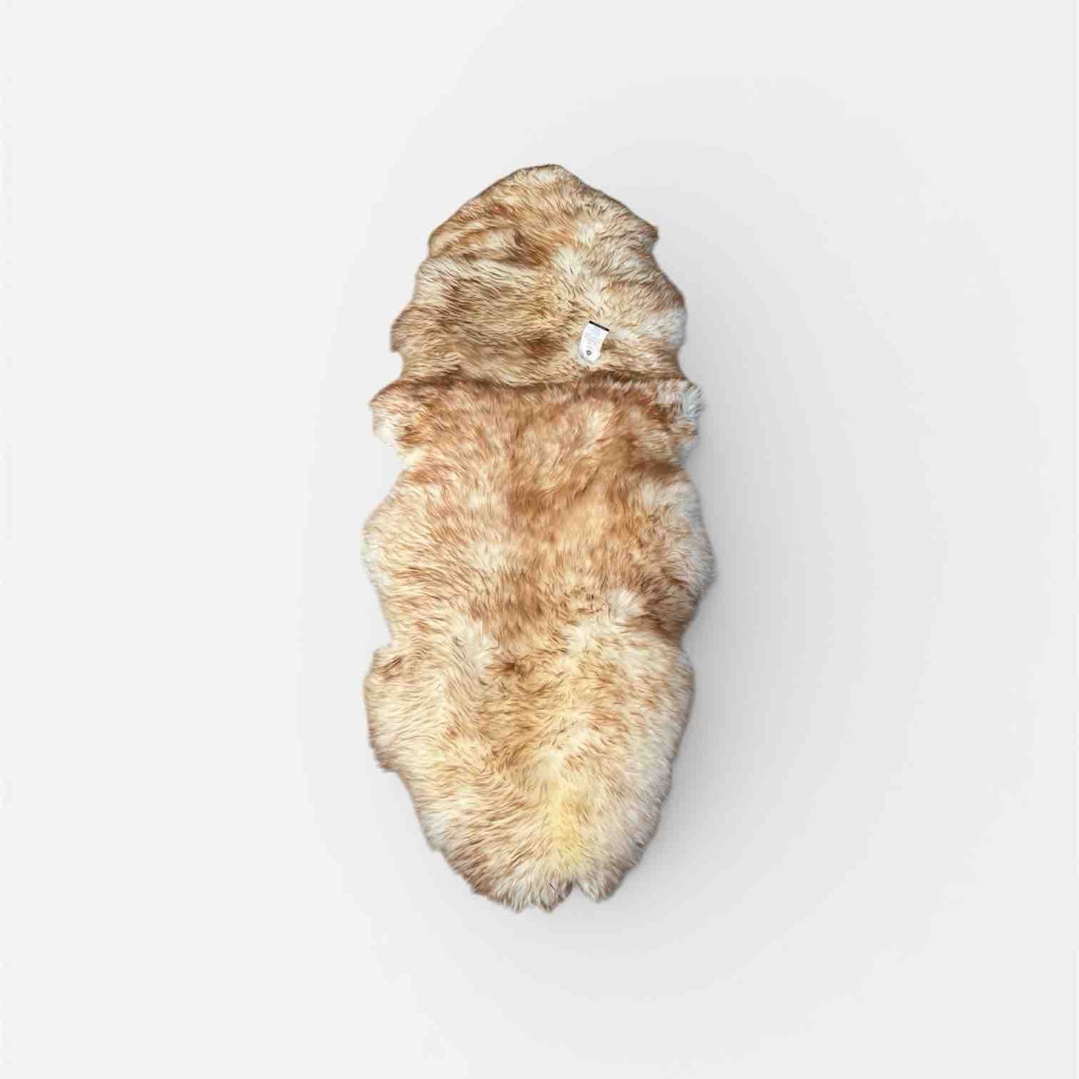 Brown leaf-like object on a white background