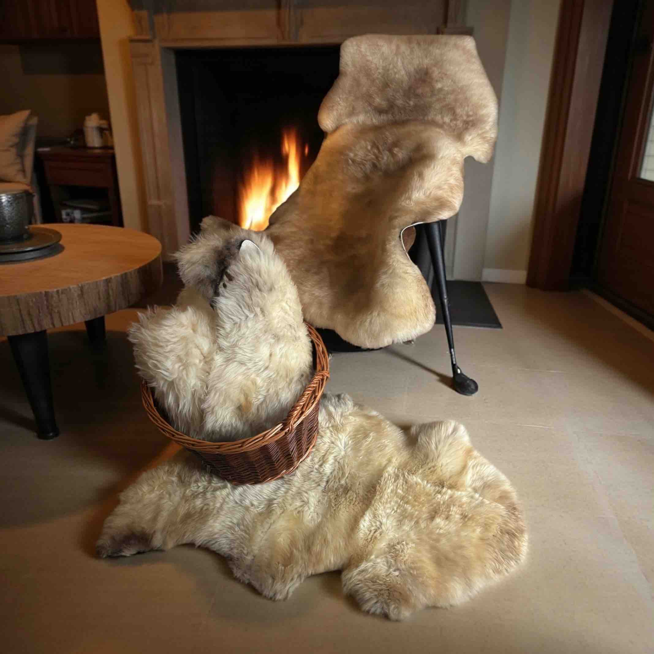 4 XL Hill Sheep Sheepskin Rugs
