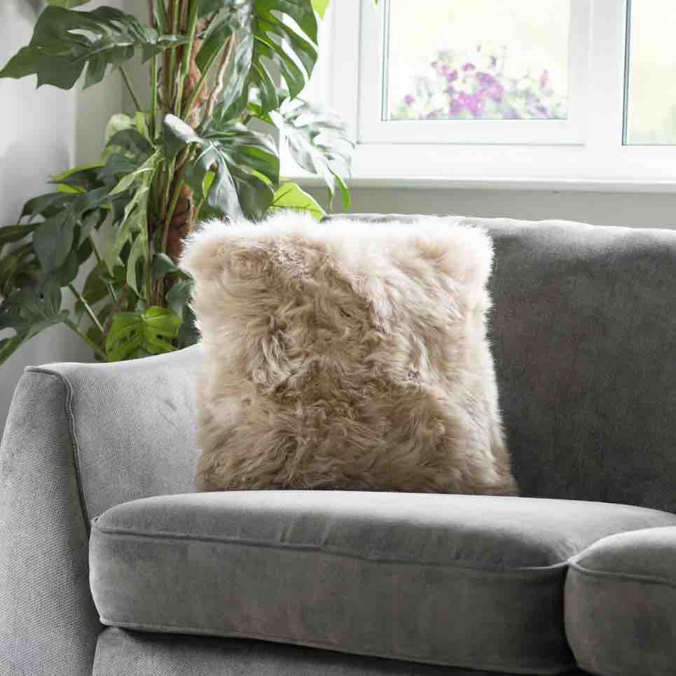 Gray sofa with a fluffy beige pillow in a room with plants and a window.