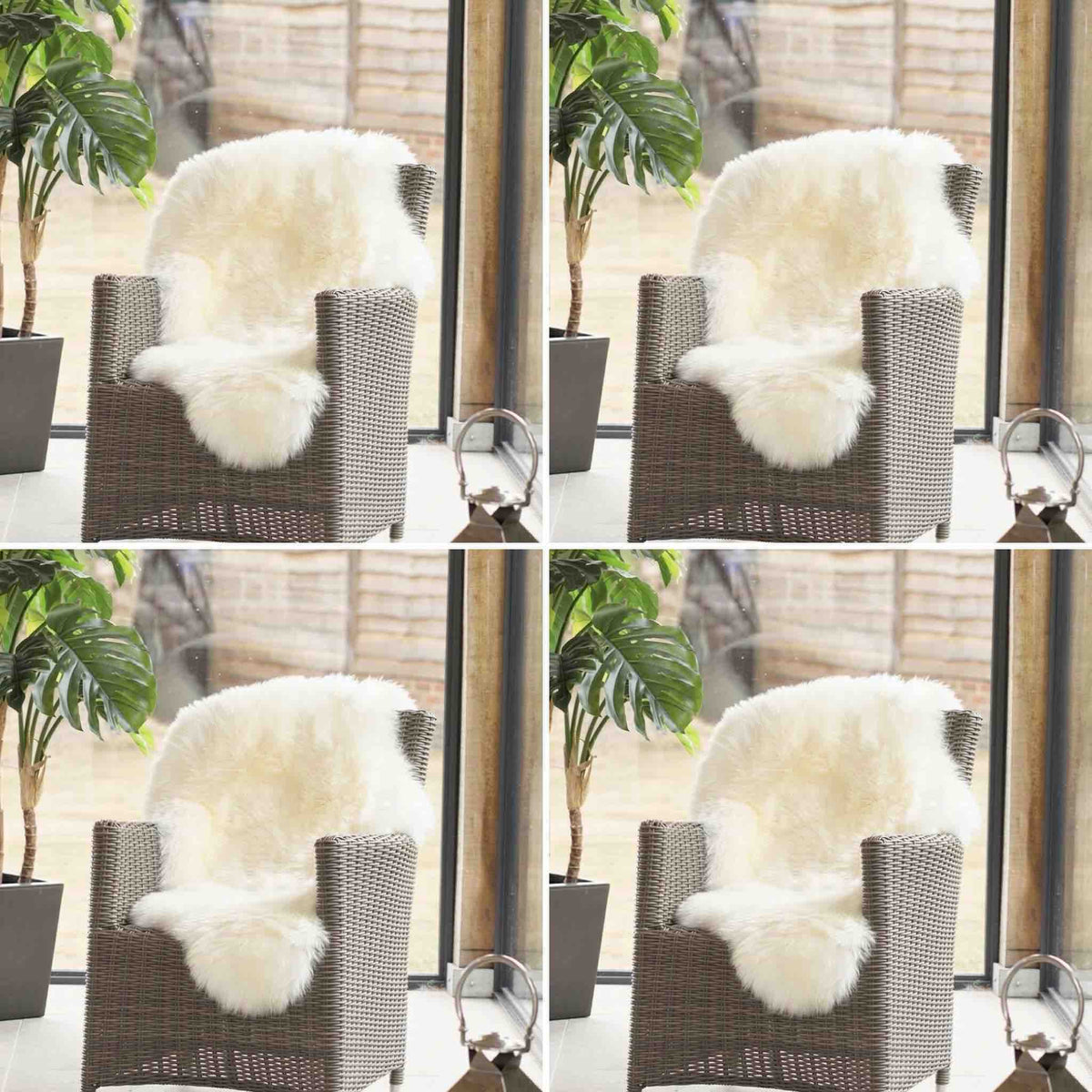 A white fluffy sheepskin throw blanket draped over a brown woven armchair in a bright room with large windows and potted plants.