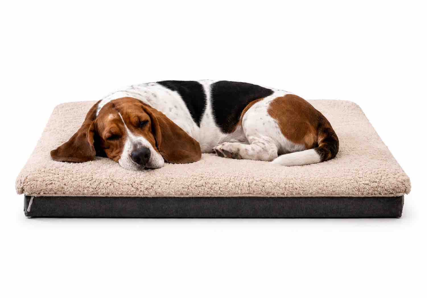 Genuine Medium Sheepskin Oyster Pet bed | 75 x 45 cms
