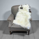 Hill Sheep Sheepskin Rug With Spot Or Spots | 95/100 cams