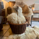 4 XL Hill Sheep  Sheepskin Rugs
