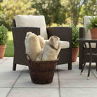 Outdoor patio setting with wicker chairs, a basket of blankets, and potted plants.