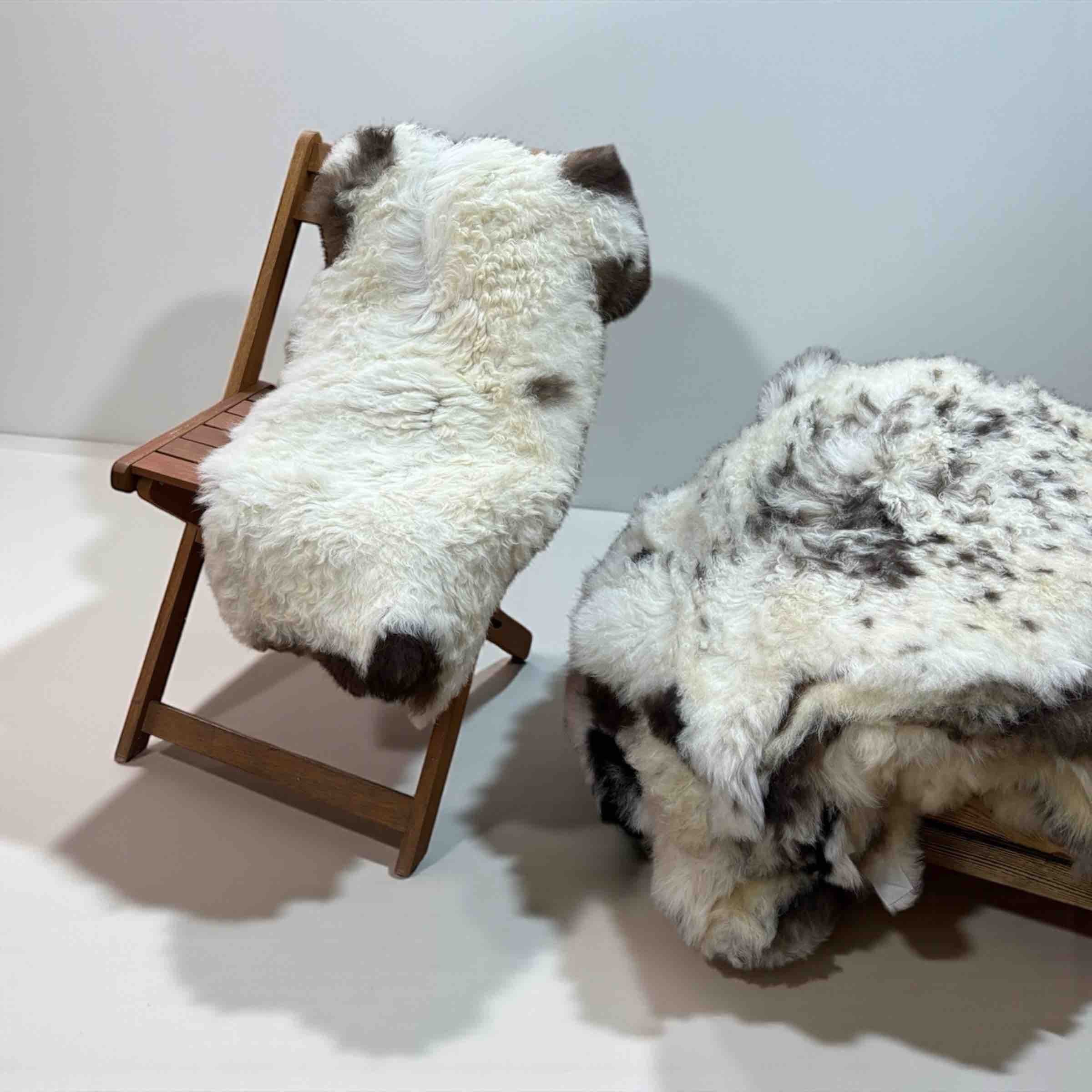 Small Jacob Sheep sheepskin rug