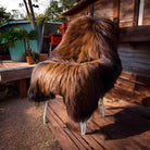 Luxurious Flame  Icelandic Sheepskin Rug