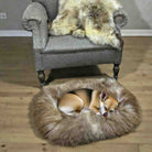 Dog sleeping on a fluffy pet bed in front of a gray armchair with a fur throw.
