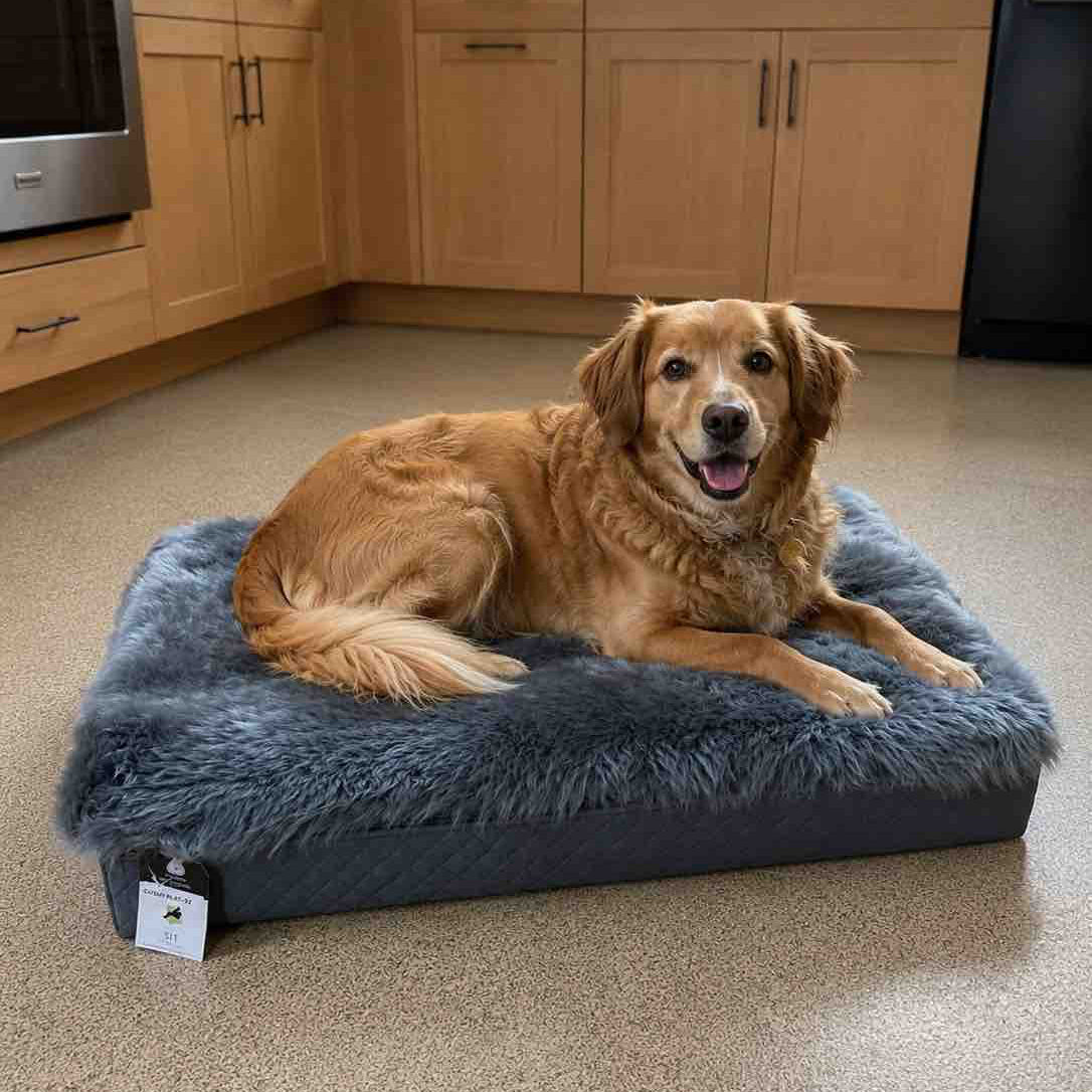 Dog lying on a blue dog bed in a kitchen