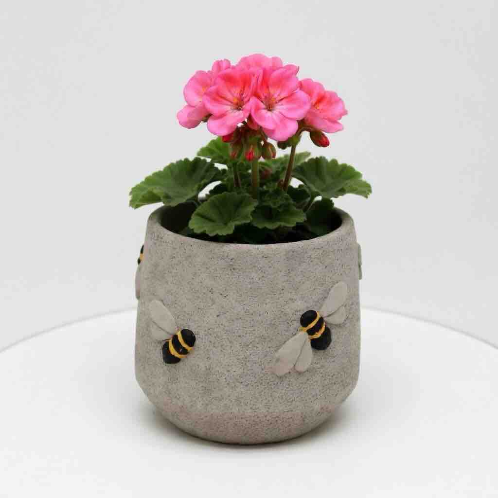 Cement planter with pink flowers and bee designs on a white background