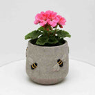 Cement planter with pink flowers and bee designs on a white background
