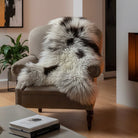 Fluffy black and white dog sitting on a chair in a room with boxes and furniture.