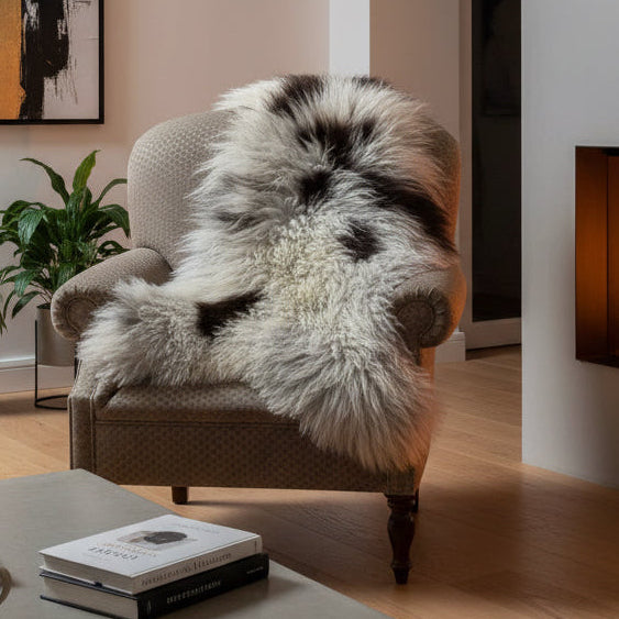 Fluffy black and white dog sitting on a chair in a room with boxes and furniture.