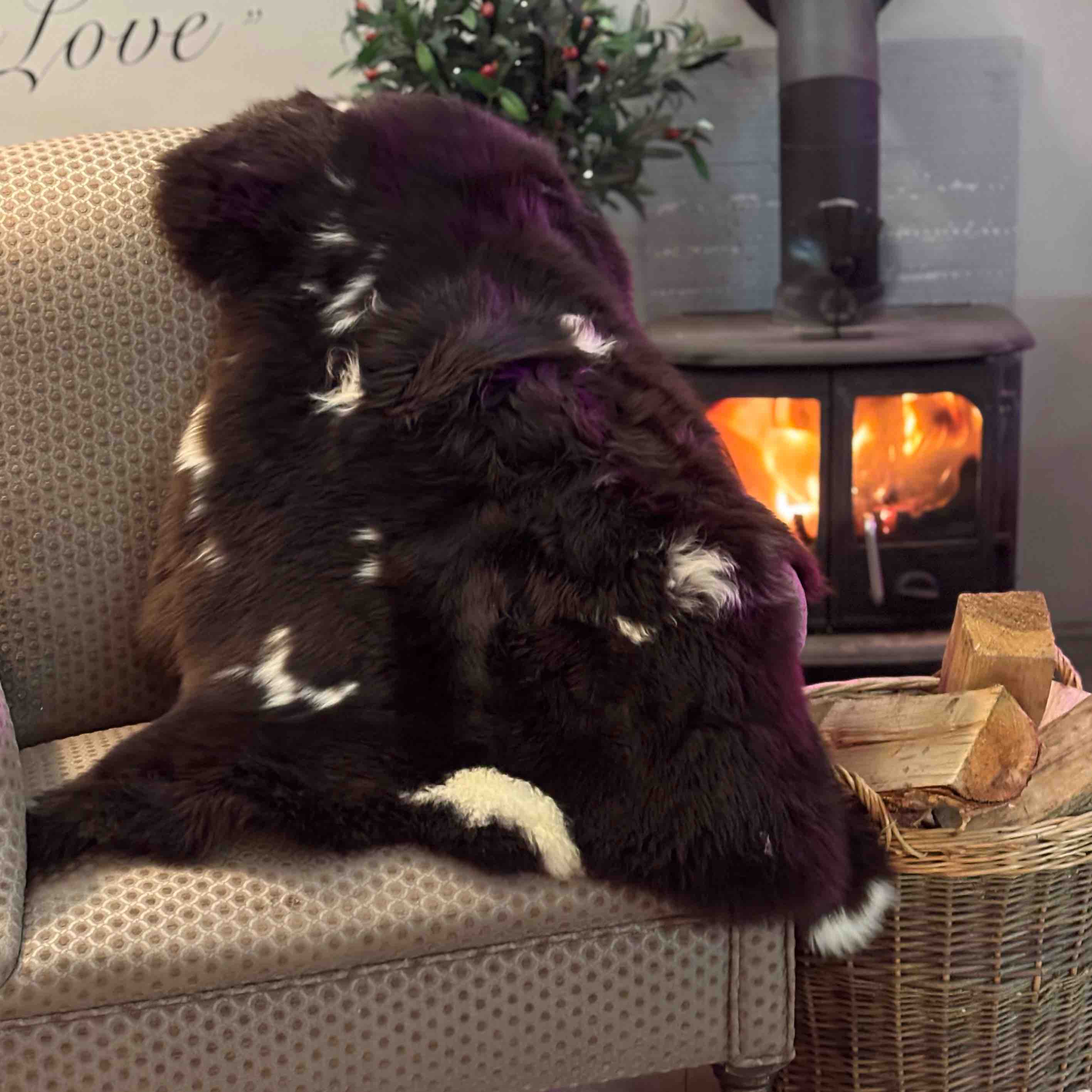 4 Jacob Sheepskin rug Patio Set