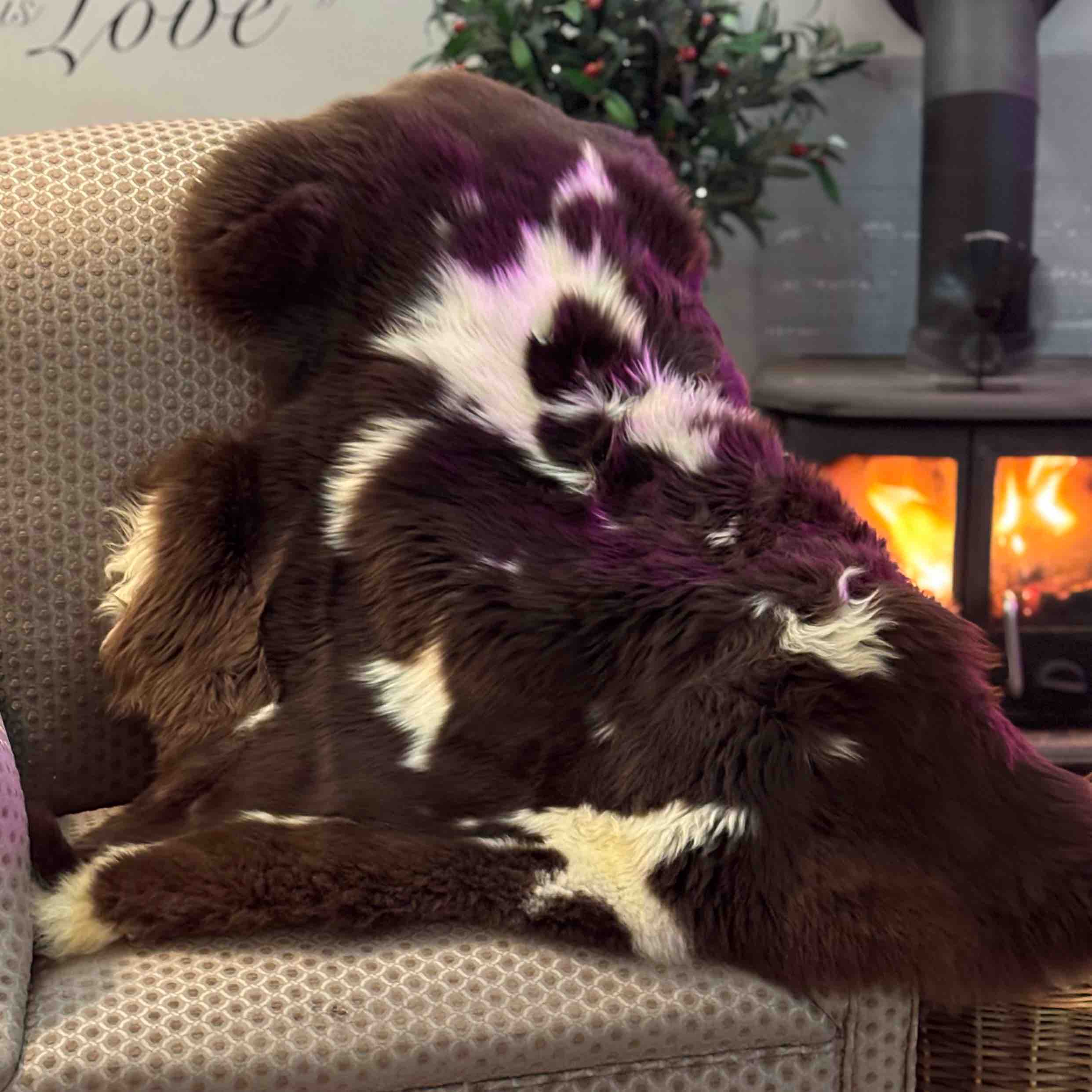 4 Jacob Sheepskin rug Patio Set