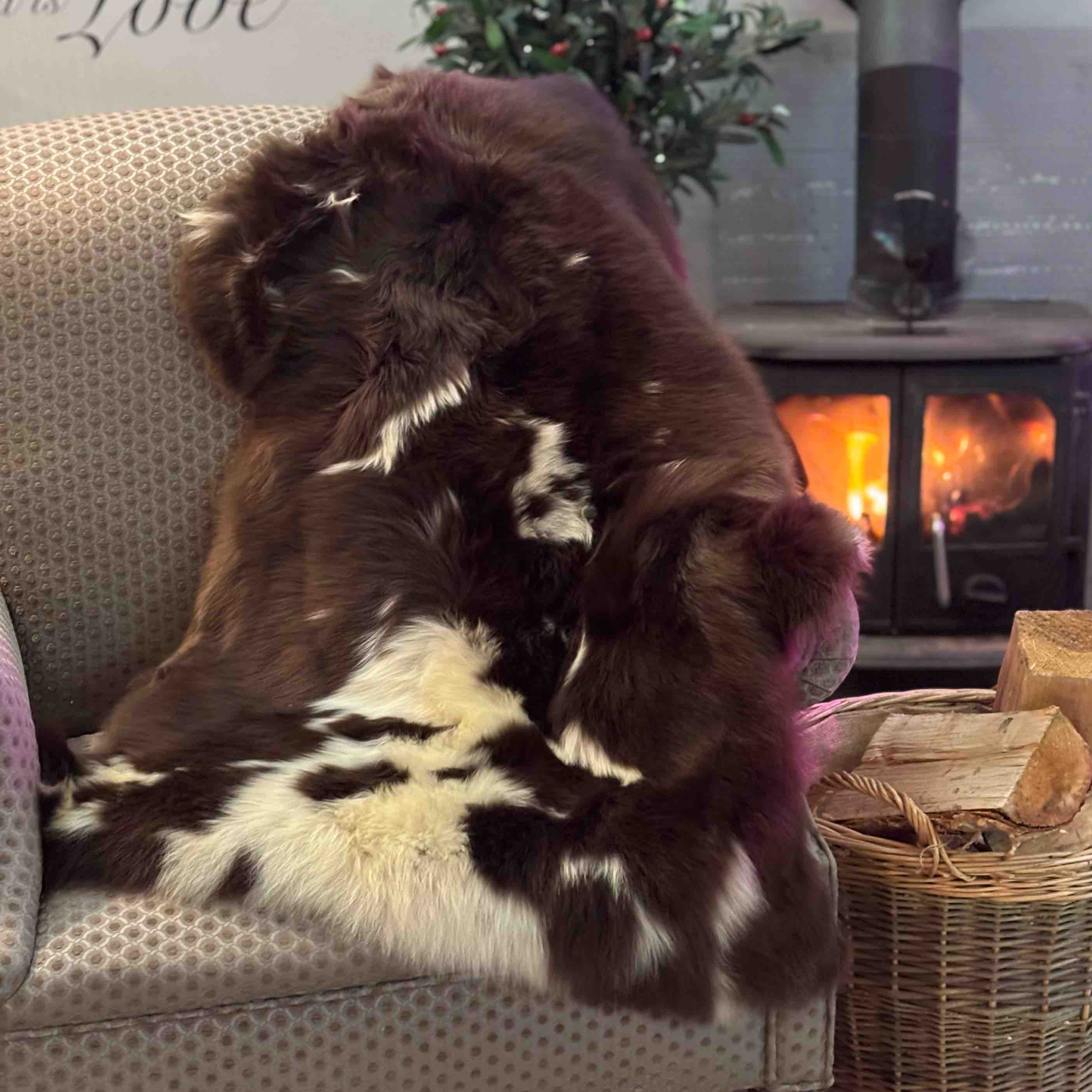 4 Jacob Sheepskin rug Patio Set