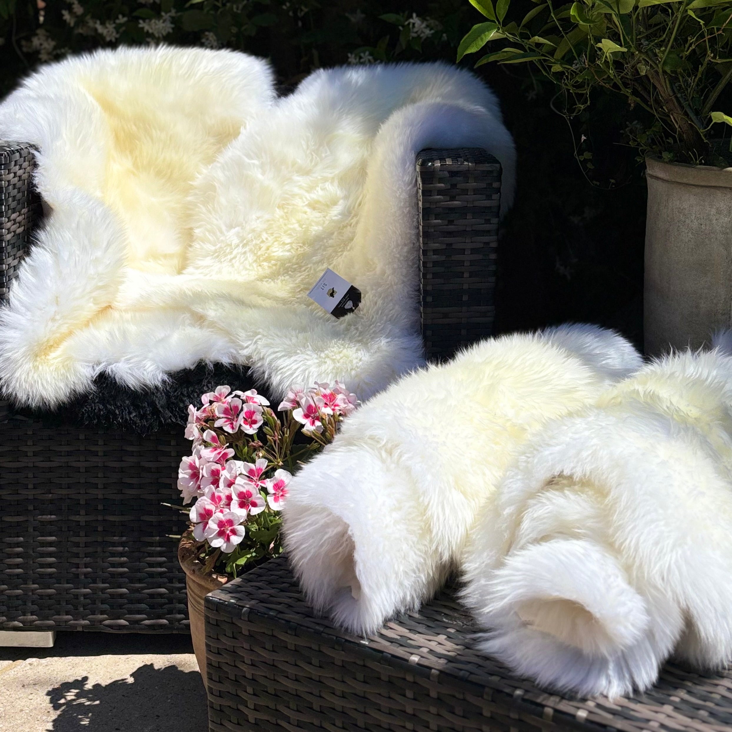 4 85/90 cm Ivory Sheepskin Rugs 