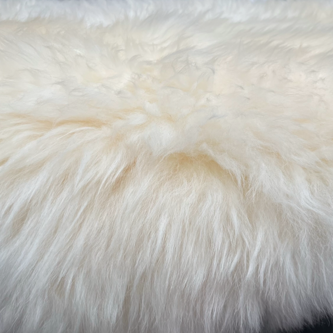 4 Extra Large Outdoor Patio Ivory Long Wool Sheepskins | 100cms plus